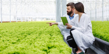 Dinamiche dell’export calabrese: il ruolo dell’agroindustria in Calabria